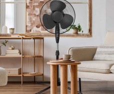 Pedestal Fans