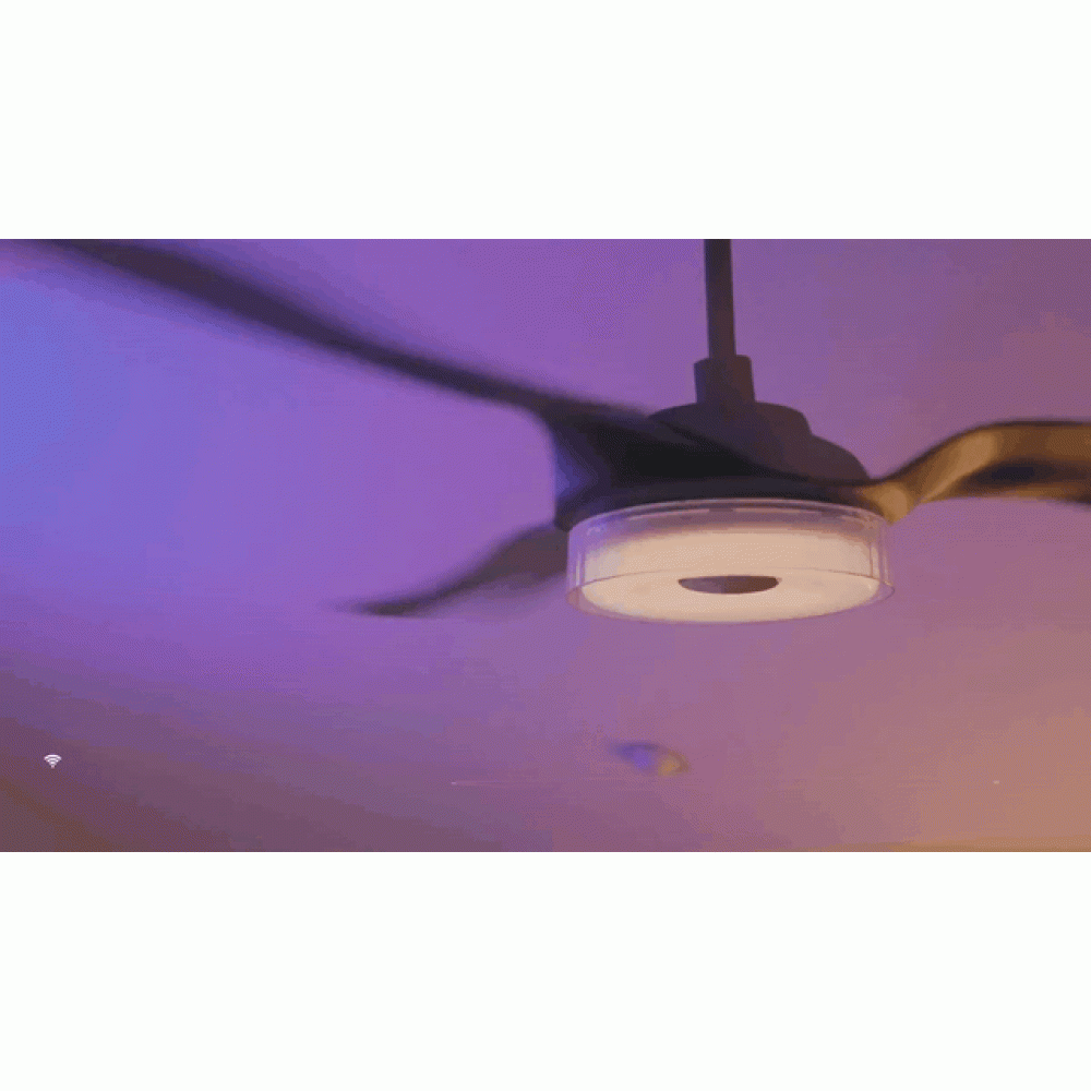 Ceiling fan with Wi-Fi and remote control Telemax CES565SL, 142cm | Ceiling Fans | Fans |