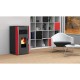 Direct vent pellet stove Alfa Plam Luca Red 8kW | Direct Vent Pellet Stoves | Pellet Stoves |